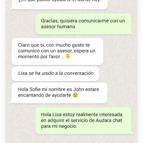 Audara WhatsApp Slide