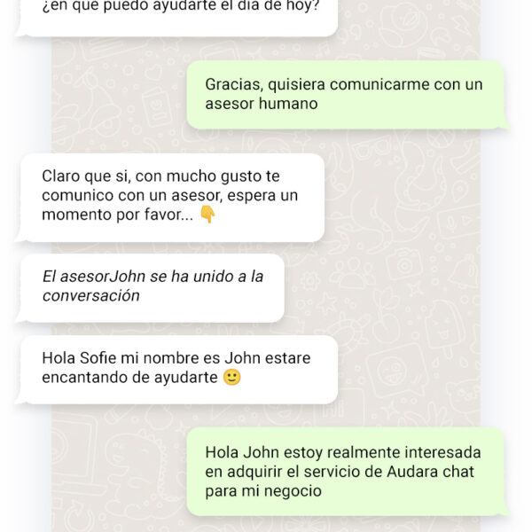 Chat de WhatsApp con Audara