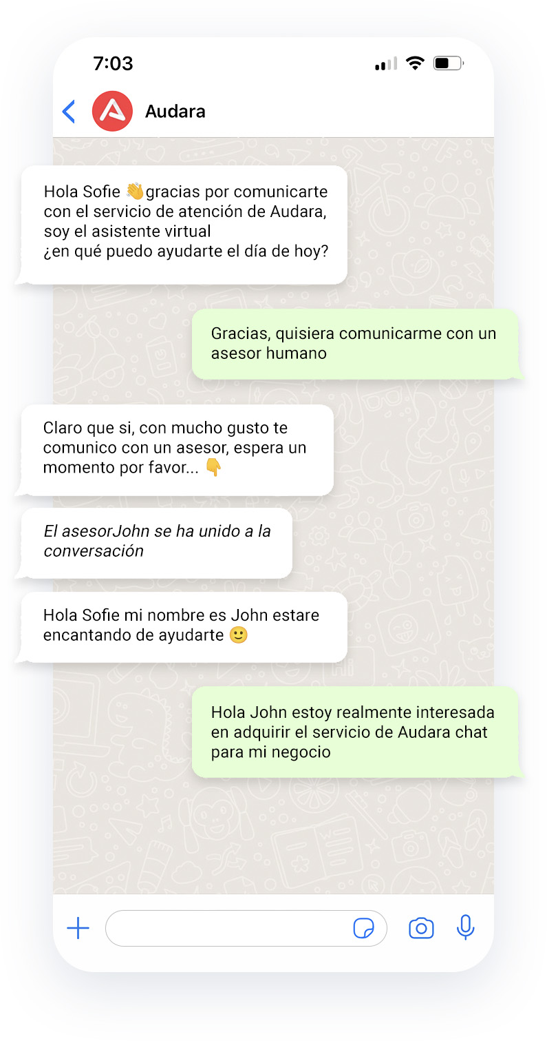 Chat de WhatsApp con Audara